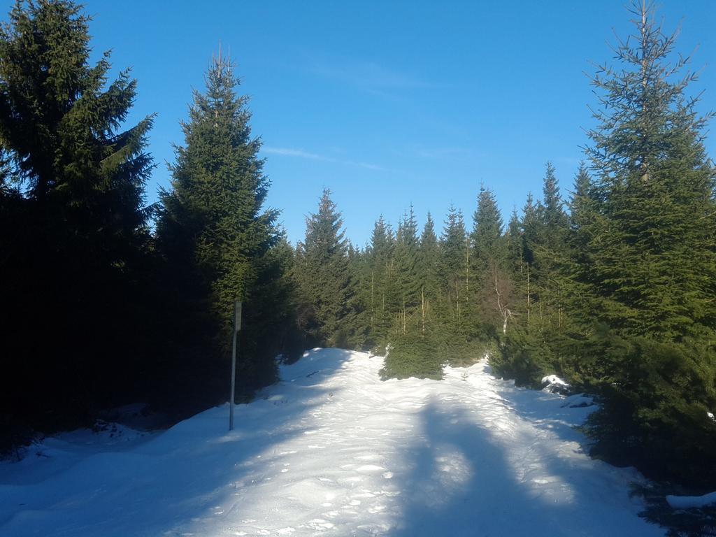 Ubytovani - Cerna Hora II Svoboda nad Úpou Exterior foto
